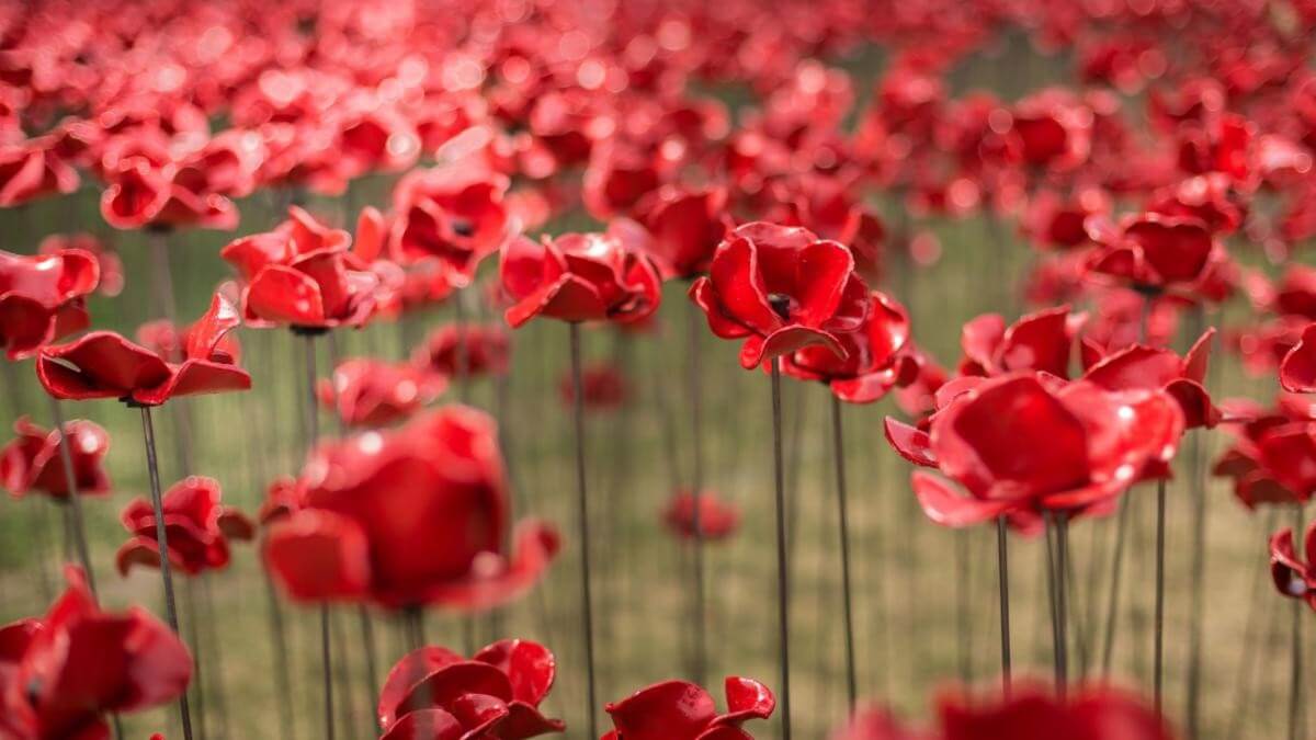 Tomorrow, May 8th, will be the 80th anniversary of VE Day.